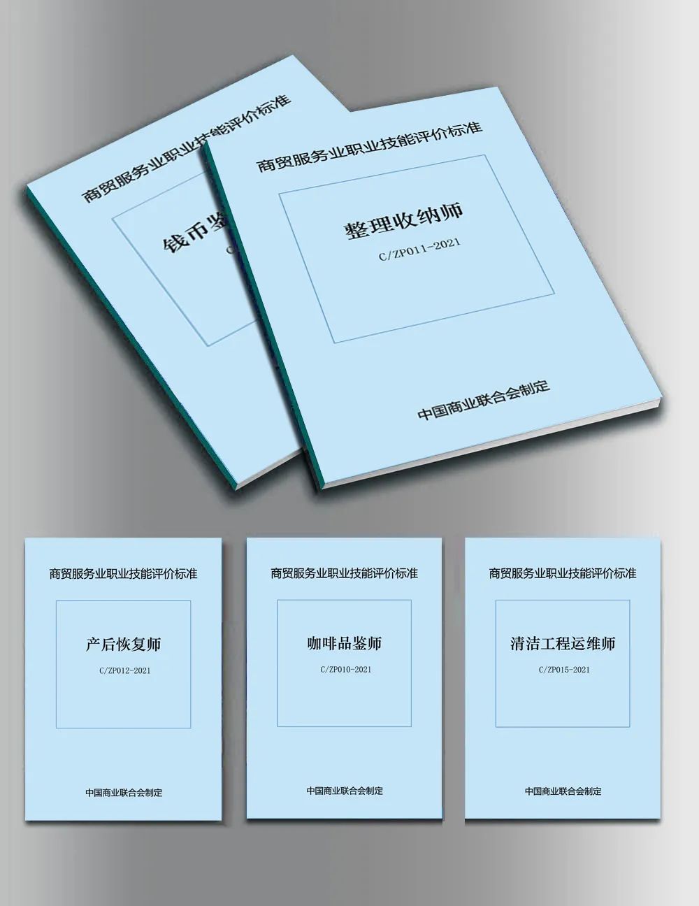 商贸服务业第二批职业技能规范审定会在京召开(图2)